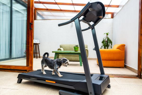 Treadmill Installation in Merced