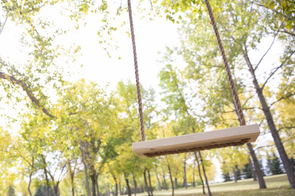 Tree Swing Installation in Merced