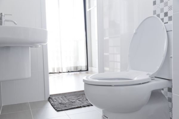 Toilet Seat Installation in Merced