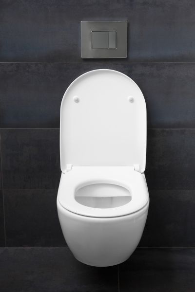 Toilet Lid Installation in Merced