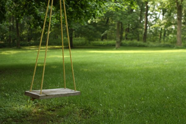 Rope Swing Installation in Merced