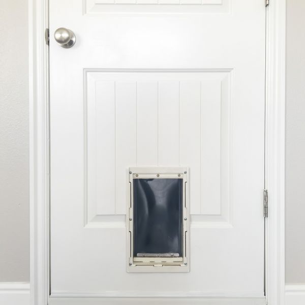 Pet Door Repair in Merced