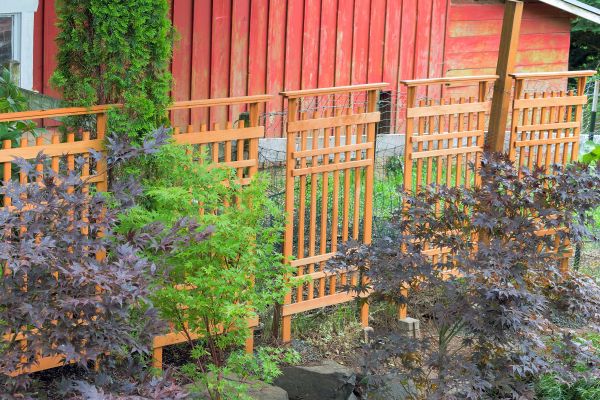 Wood Trellis Mounting in Merced