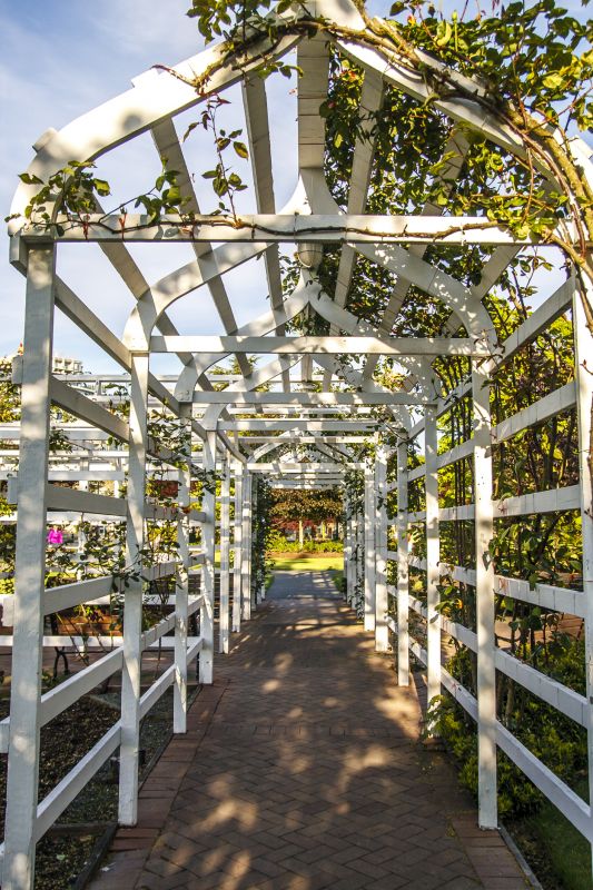 Wood Trellis Mounting